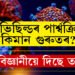 কভিছিল্ডৰ পাৰ্শ্বক্ৰিয়া কিমান গুৰুতৰ? সবিশেষ জনালে বিজ্ঞানীয়ে