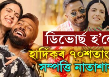 ডিভোৰ্ছ হ’লে হাৰ্দিকৰ ৭০শতাংশ সম্পত্তি নাতাশাৰ! বিচ্ছেদৰ জল্পনাৰ মাজতেই আন এক চৰ্চা, কিমান সত্য এই কথা?