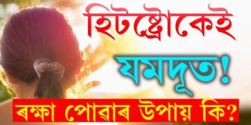 হিটষ্ট্ৰোকৰ লক্ষণ আৰু প্ৰতিৰোধৰ উপায় কি? কেনেকৈ ৰক্ষা পাব হিটষ্ট্ৰোকৰ পৰা?