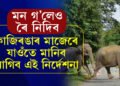 কাজিৰঙাৰ মাজেৰে যাত্ৰা কৰিলে ভুলতো য’তে ত’তে নৰব, ৰ’লেই বিপদ হ’ব আপোনাৰ, কি জাননী দিছে বনবিভাগে?