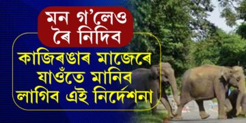 কাজিৰঙাৰ মাজেৰে যাত্ৰা কৰিলে ভুলতো য’তে ত’তে নৰব, ৰ’লেই বিপদ হ’ব আপোনাৰ, কি জাননী দিছে বনবিভাগে?
