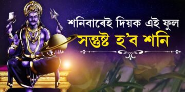 শনিবাৰে এই ফুলেৰে শনি দেৱতাৰ পূজা আগবঢ়াওক, শনিক তুষ্ট কৰিবলে এপাহ ফুলেই যথেষ্ট