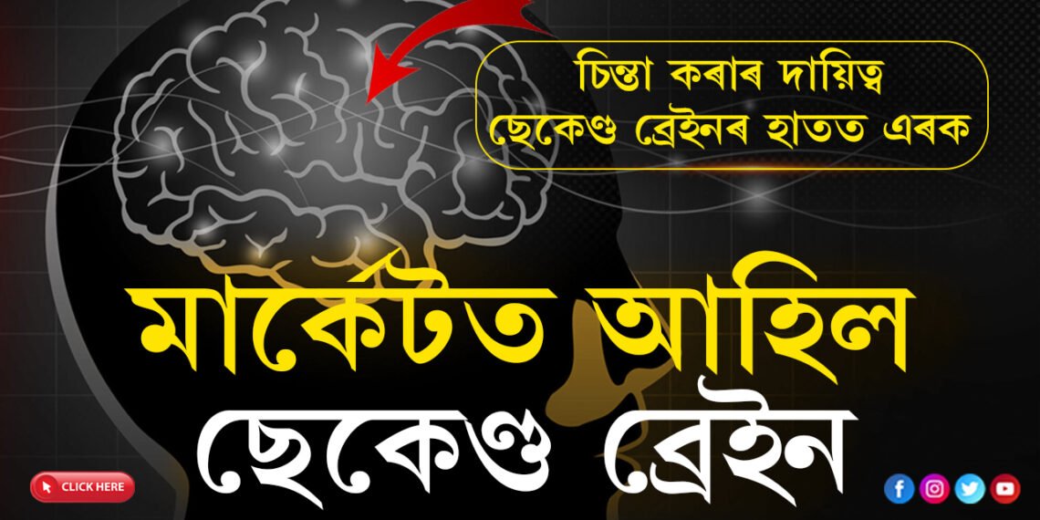 চিন্তা আপুনিয়েই কৰিব কথা নাই… চাপ কমাবলৈ বিজ্ঞানীয়ে আৱিষ্কাৰ কৰিলে ছেকেণ্ড ব্ৰেইন, কেই টকাত ক্ৰয় কৰিব পাৰিব এই ব্ৰেইন?