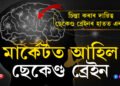চিন্তা আপুনিয়েই কৰিব কথা নাই… চাপ কমাবলৈ বিজ্ঞানীয়ে আৱিষ্কাৰ কৰিলে ছেকেণ্ড ব্ৰেইন, কেই টকাত ক্ৰয় কৰিব পাৰিব এই ব্ৰেইন?