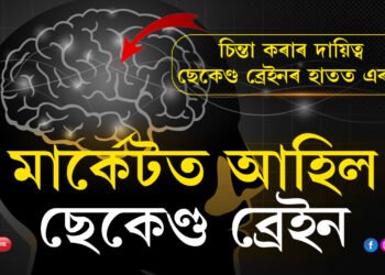 চিন্তা আপুনিয়েই কৰিব কথা নাই… চাপ কমাবলৈ বিজ্ঞানীয়ে আৱিষ্কাৰ কৰিলে ছেকেণ্ড ব্ৰেইন, কেই টকাত ক্ৰয় কৰিব পাৰিব এই ব্ৰেইন?
