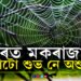 ঘৰত মকৰাজাল থকা শুভ নে অশুভ? জানক বাস্তুশাস্ত্ৰই কি কয়?