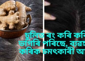 চুলিত ৰং কৰি কৰি ভাগৰি পৰিছে, ব্যৱহাৰ কৰক চমৎকাৰী আদা