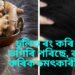 চুলিত ৰং কৰি কৰি ভাগৰি পৰিছে, ব্যৱহাৰ কৰক চমৎকাৰী আদা