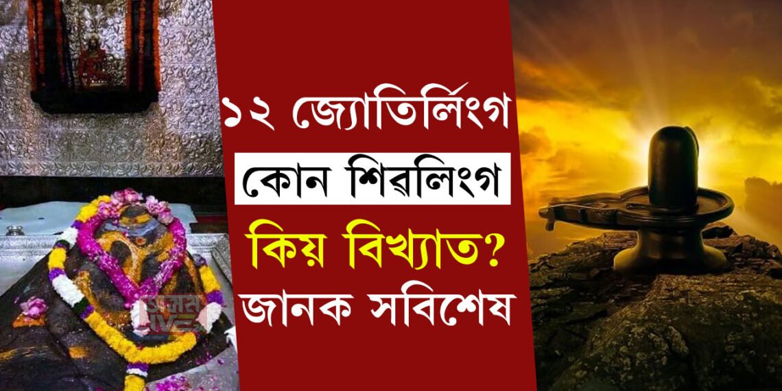 মহাদেৱৰ ১২ ট জ্যোতিৰ্লিংগ! কোন শিৱক্ষেত্ৰ দৰ্শন কৰিলে কি বিশেষ ফল পাব ভক্তই?