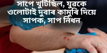 এক অদ্ভুত কাহিনী- সাপে খুটিছিল, যুৱকে ওলোটাই দুবাৰ কামুৰি দিয়ে সাপক, সাপ নিধন