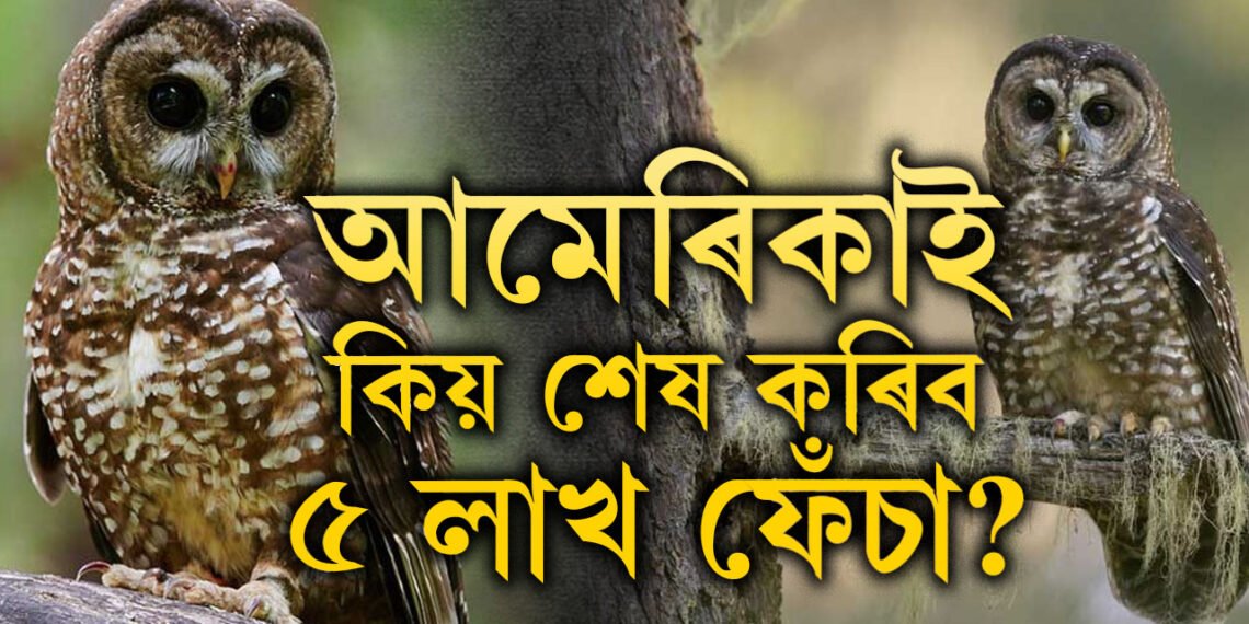৫লাখ ফেঁচাক আমেৰিকাই দিব মৃ/ত্যু/দ/ণ্ড, কেনিয়াই শেষ কৰিব ১০লাখ ভাৰতীয় কাউৰী, দুই দেশৰ হৈছে কি?