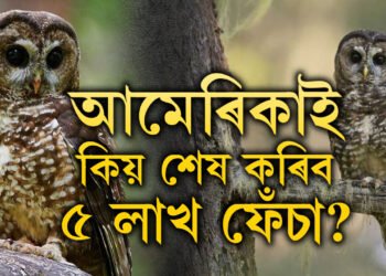 ৫লাখ ফেঁচাক আমেৰিকাই দিব মৃ/ত্যু/দ/ণ্ড, কেনিয়াই শেষ কৰিব ১০লাখ ভাৰতীয় কাউৰী, দুই দেশৰ হৈছে কি?