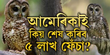 ৫লাখ ফেঁচাক আমেৰিকাই দিব মৃ/ত্যু/দ/ণ্ড, কেনিয়াই শেষ কৰিব ১০লাখ ভাৰতীয় কাউৰী, দুই দেশৰ হৈছে কি?