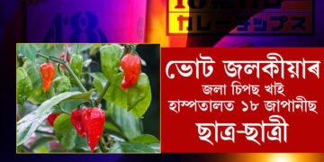 ভাৰতীয় ভোট জলকীয়াৰে তৈয়াৰী চিপছ খাই হাস্পতালত ভৰ্তি জাপানৰ ১৮ গৰাকী ছাত্ৰ-ছাত্ৰী