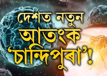 দেশত নতুন আতংকৰ নাম ‘চান্দিপুৰা’! এই ভাইৰাছৰ পৰা নিজকে কেনেকৈ বচাই ৰাখিব?