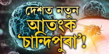 দেশত নতুন আতংকৰ নাম ‘চান্দিপুৰা’! এই ভাইৰাছৰ পৰা নিজকে কেনেকৈ বচাই ৰাখিব?