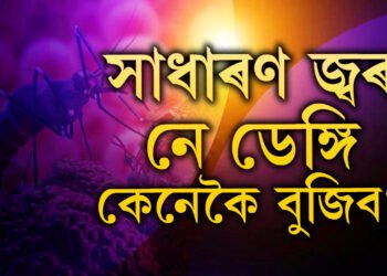 সাধাৰণ জ্বৰ নে ডেঙ্গি, কেনেকৈ বুজিব? এইকেইটা লক্ষণ দেখিলেই সতৰ্ক হওক