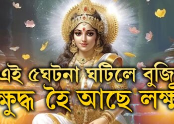 এই ৫ঘটনা ঘটিলে বুজিব আপোনাৰ ওপৰত ক্ষুদ্ধ হৈ আছে লক্ষ্মী, সুখী কৰাৰ উপায় কি?