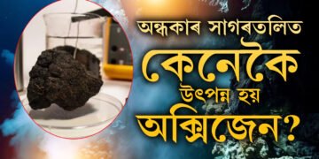 সমুদ্ৰৰ অটলতলিত ৰহস্যময় ‘ডাৰ্ক অক্সিজেন’ হতবাক বিজ্ঞানী, সলনি হ’ব বিজ্ঞানৰ সংজ্ঞা?