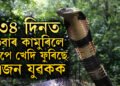 ৩৪ দিনত ৬বাৰ কা/মু/ৰি/লে সাপে, মোমায়েকৰ ঘৰলৈ গৈয়ো শান্তিত নাই, তাতো খেদিছে সাপে, ঘটনা কি?
