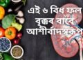 এই ৬ বিধ ফল বৃক্কৰ বাবে আশীৰ্বাদস্বৰূপ, বিষ নোহোৱা কৰাৰ লগতে বৃক্কৰ পাথৰ গঠন ৰোধ কৰে