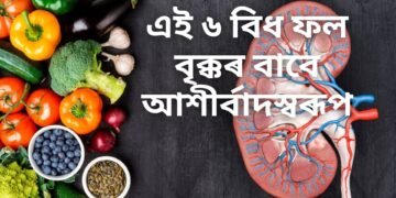 এই ৬ বিধ ফল বৃক্কৰ বাবে আশীৰ্বাদস্বৰূপ, বিষ নোহোৱা কৰাৰ লগতে বৃক্কৰ পাথৰ গঠন ৰোধ কৰে