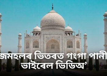 কাইলৈ শাওন মাহৰ অমাৱস্যা, এই হৰিয়ালী অমাৱস্যাত জিলিকি উঠিব ৫ ৰাশিৰ ভাগ্য