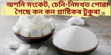 অশনি সংকেট, চেনি-নিমখত পোৱা গৈছে কন কন প্লাষ্টিকৰ টুকুৰা