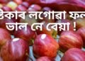 ষ্টিকাৰ লগোৱা ফল ভাল নে বেয়া, জানেনে ইয়াৰ কাৰণ! কেতিয়াবা অধিক বেয়া ষ্টিকাৰ লগোৱা ফল
