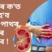 শৰীৰৰ ক’ত ক’ত হ’ব পাৰে পাথৰ, কিদৰে জানিব ! পঢ়ক এই প্ৰতিবেদন-