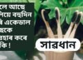ভালে আছে বুলিয়ে বহুদিন ধৰি একেডাল ব্ৰাছকে ব্যৱহাৰ কৰে নেকি, তেন্তে আজিয়ে সাৱধান- পঢ়ক এই খবৰ