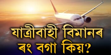 যাত্ৰীবাহী বিমানৰ ৰং বগা কিয় হয়? কি কি কাৰণ, জানিলে অবাক হ’ব আপুনিও