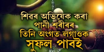 শাওণ মাহত শিৱলিংগত পানী ঢলাৰ পাছত সেই পানী শৰীৰৰ তিনিটা অংগত লগালেই দূৰ হ’ব ৰাহু-কেতুৰ দোষ