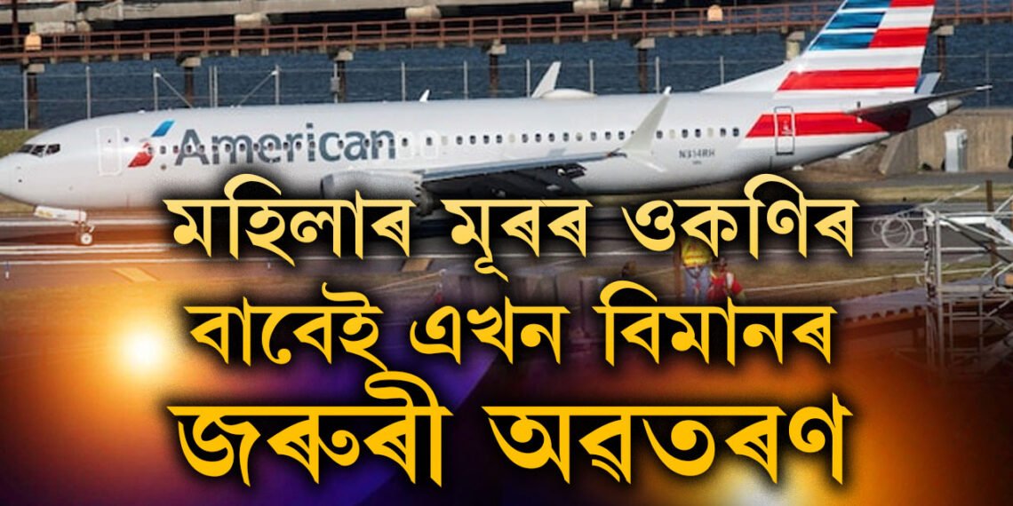 মহিলাৰ চুলিত অজস্ৰ ওকনি! ওকনিৰ বাবেই এখন ফ্লাইটৰ জৰুৰী অৱতৰণ, ক’ত এই ঘটনা?