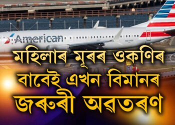 মহিলাৰ চুলিত অজস্ৰ ওকনি! ওকনিৰ বাবেই এখন ফ্লাইটৰ জৰুৰী অৱতৰণ, ক’ত এই ঘটনা?