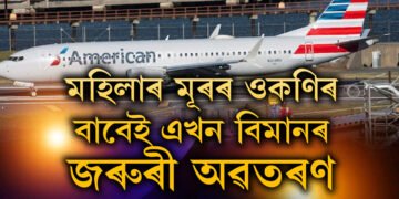 মহিলাৰ চুলিত অজস্ৰ ওকনি! ওকনিৰ বাবেই এখন ফ্লাইটৰ জৰুৰী অৱতৰণ, ক’ত এই ঘটনা?