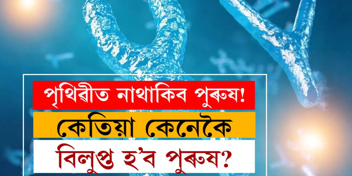 পৃথিৱী পুৰুষ শূন্য হ’ব! বিজ্ঞানীৰ দাবী, পৃথিৱীত কেতিয়া কেনেকৈ শেষ হ’ব পুৰুষ জাতি?