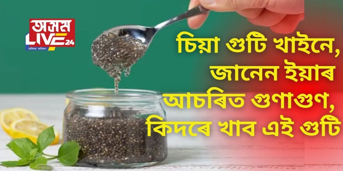 চিয়া গুটি খাইনে, জানেন ইয়াৰ আচৰিত গুণাগুণ, কিদৰে খাব এই গুটি