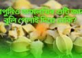 আপুনিও আমলখিৰ গুটি জাবৰ বুলি পেলাই দিয়ে নেকি? আজি জানত ইয়াৰ আচৰিত গুণ