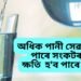 অধিক পানী সেৱনো হ’ব পাৰে সংকটৰ কাৰণ, ক্ষতি হ’ব পাৰে ব্ৰেইনৰ