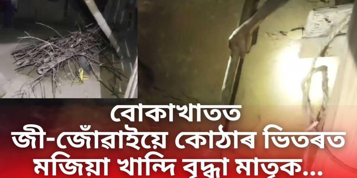 বোকাখাতত শিহৰণকাৰী ঘটনা, নিজৰেই জী-জোঁৱাইয়ে কোঠাৰ ভিতৰত মজিয়া খান্দি বৃদ্ধা মাতৃক…