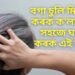 বগা চুলি মিনিটতে কৰক ক’লা, অতি সহজে ঘৰতে কৰক এই উপায়