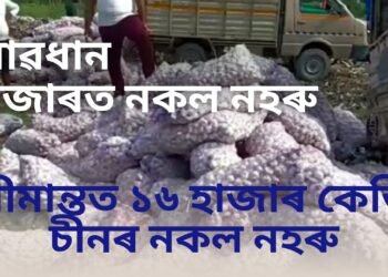 সাৱধান, নকল নহৰুৰ পয়োভৰ, সীমান্তত ১৬ হাজাৰ কেজি চীনৰ নকল নহৰু