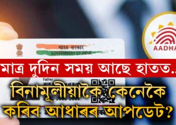 মাত্ৰ দুদিন সময় আছে হাতত! বিনামূলীয়াকৈ কেনেকৈ কৰিব আধাৰৰ আপডেট? সবিশেষ