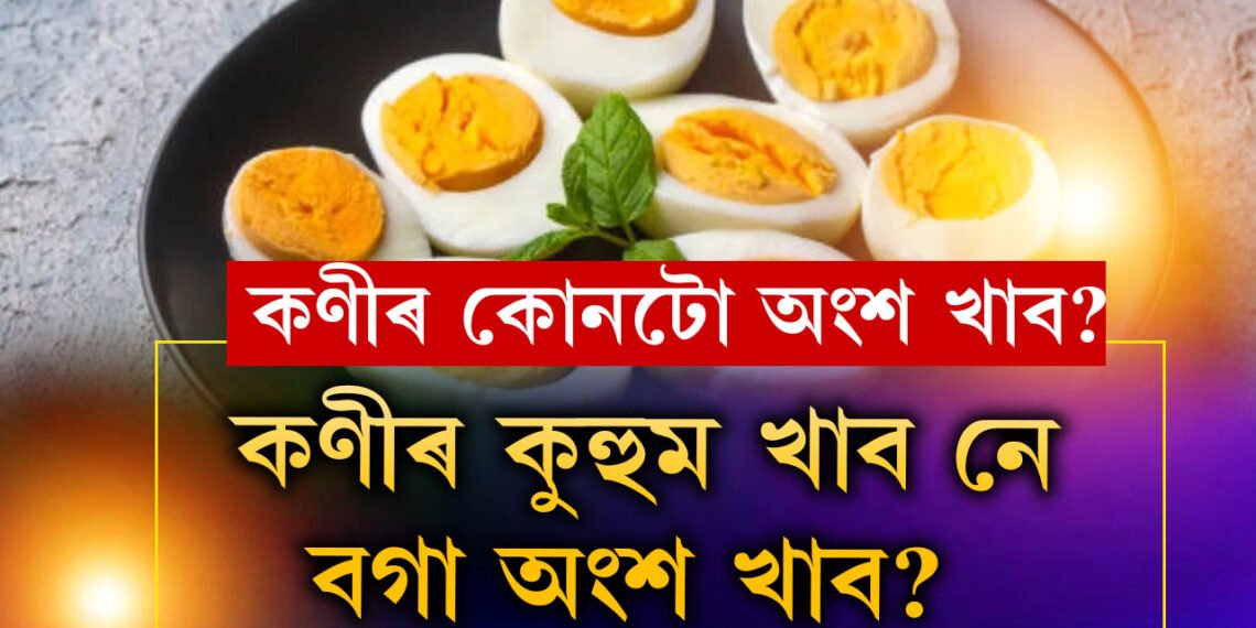 কণীৰ কুহুম খাব নে বগা অংশ খাব? কোনটো খালে দেহে বেছিকৈ পুষ্টি পাব?