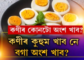 কণীৰ কুহুম খাব নে বগা অংশ খাব? কোনটো খালে দেহে বেছিকৈ পুষ্টি পাব?
