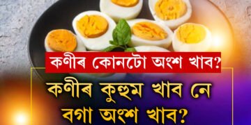 কণীৰ কুহুম খাব নে বগা অংশ খাব? কোনটো খালে দেহে বেছিকৈ পুষ্টি পাব?