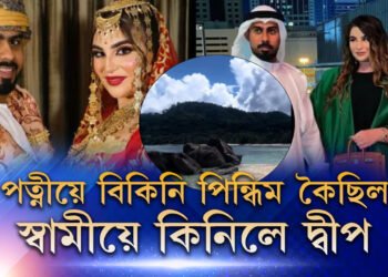পত্নীৰ বিকিনি পিন্ধাৰ মন, স্বামীয়ে কিনি পেলালে এটা দ্বীপেই