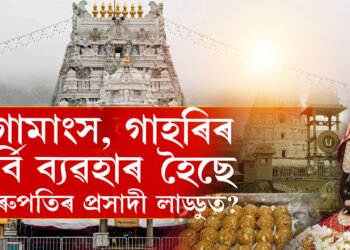 গোমাংস, গাহৰিৰ চৰ্বি ব্যৱহাৰ হৈছে তিৰুপতিৰ প্ৰসাদী লাড্ডুত? এই অভিযোগ কিমান সঁচা?