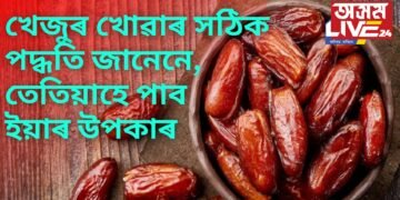 খেজুৰ শৰীৰৰ বাবে বহু উপকাৰী, পাছে জানেনে ইয়াক খোৱাৰ সঠিক পদ্ধতি, তেতিয়াহে পাব ইয়াৰ উপকাৰ